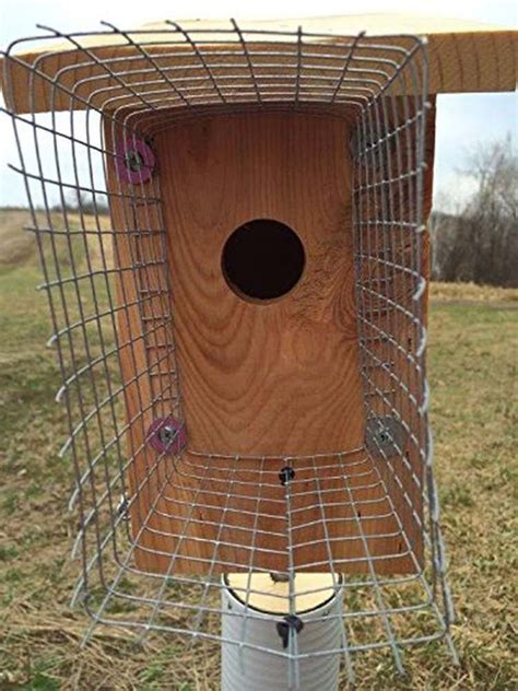 bluebird house protection basket